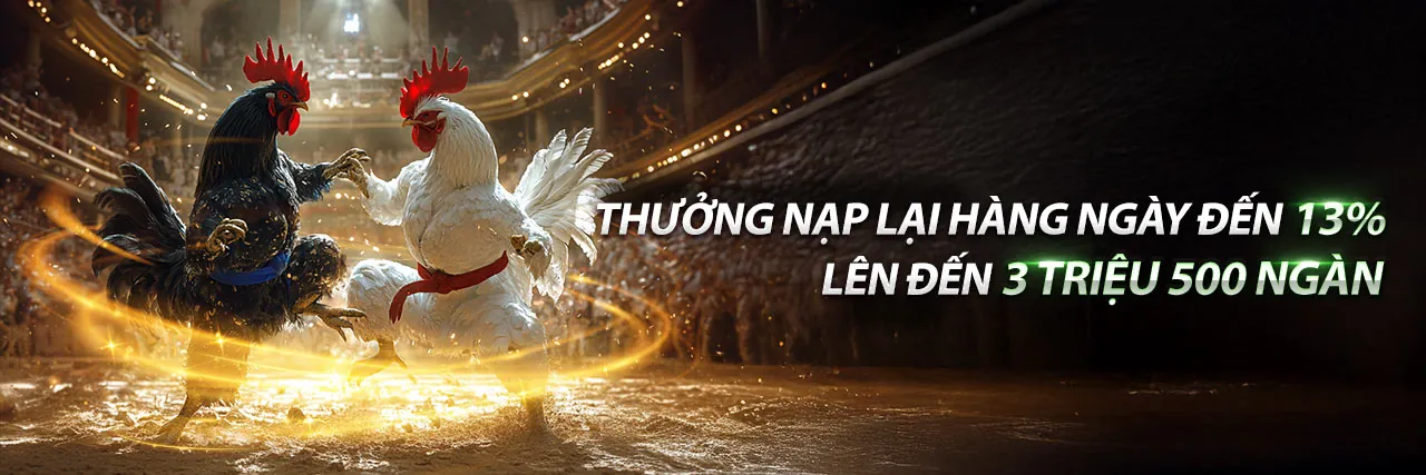 Đấu trường đá gà trực tuyến sôi động tại ga65 link vào